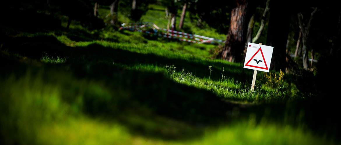 275616939-694317785140056-2291113959798013496-n